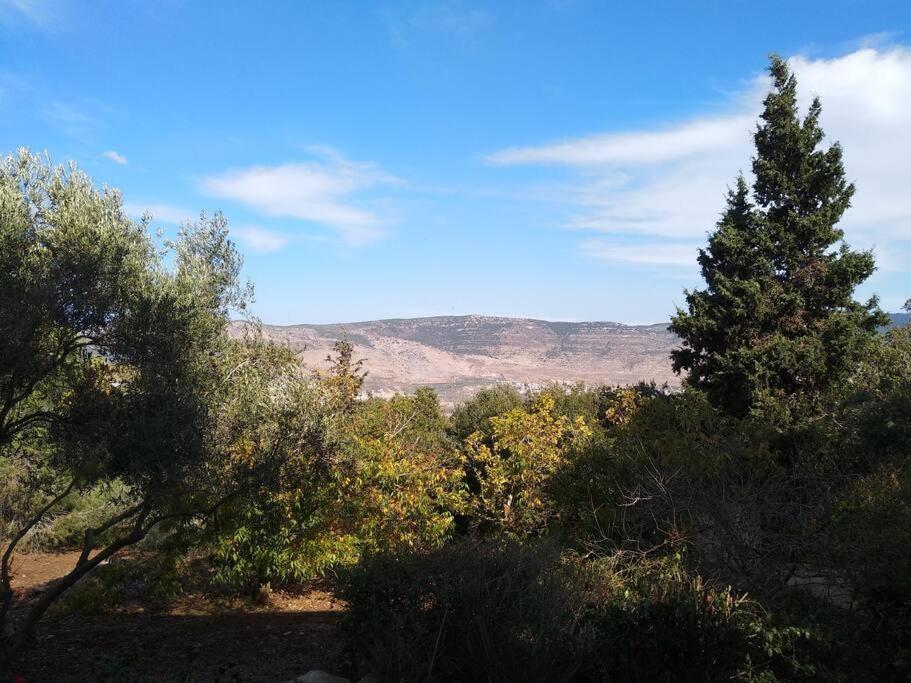 הבית ליד הבוסתן Mikhmannim Luaran gambar
